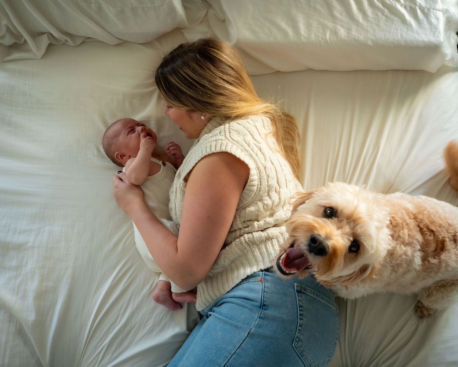 bedroom, newborn, mother, dog, pet