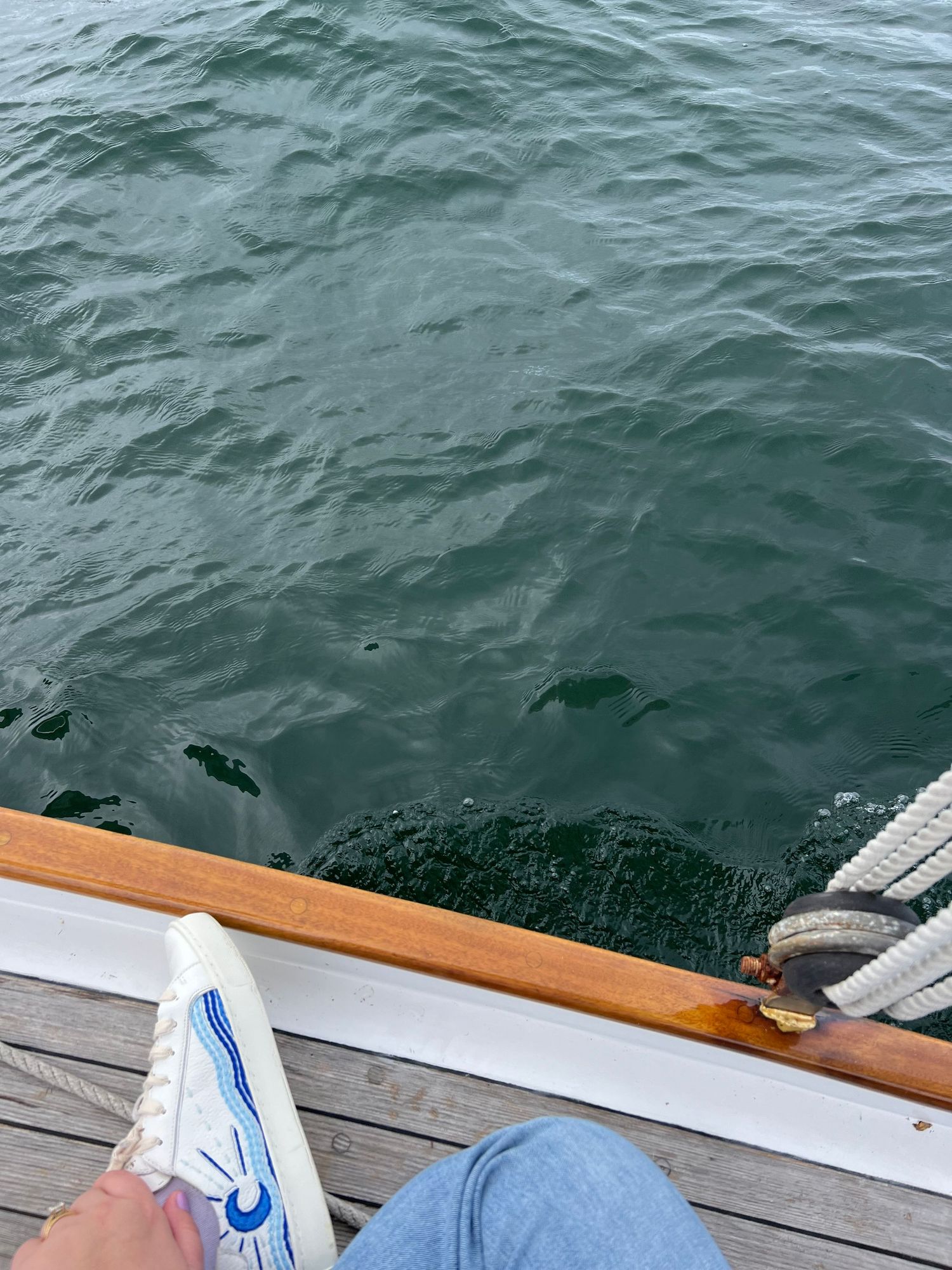 ugc travel content in bar harbor, maine