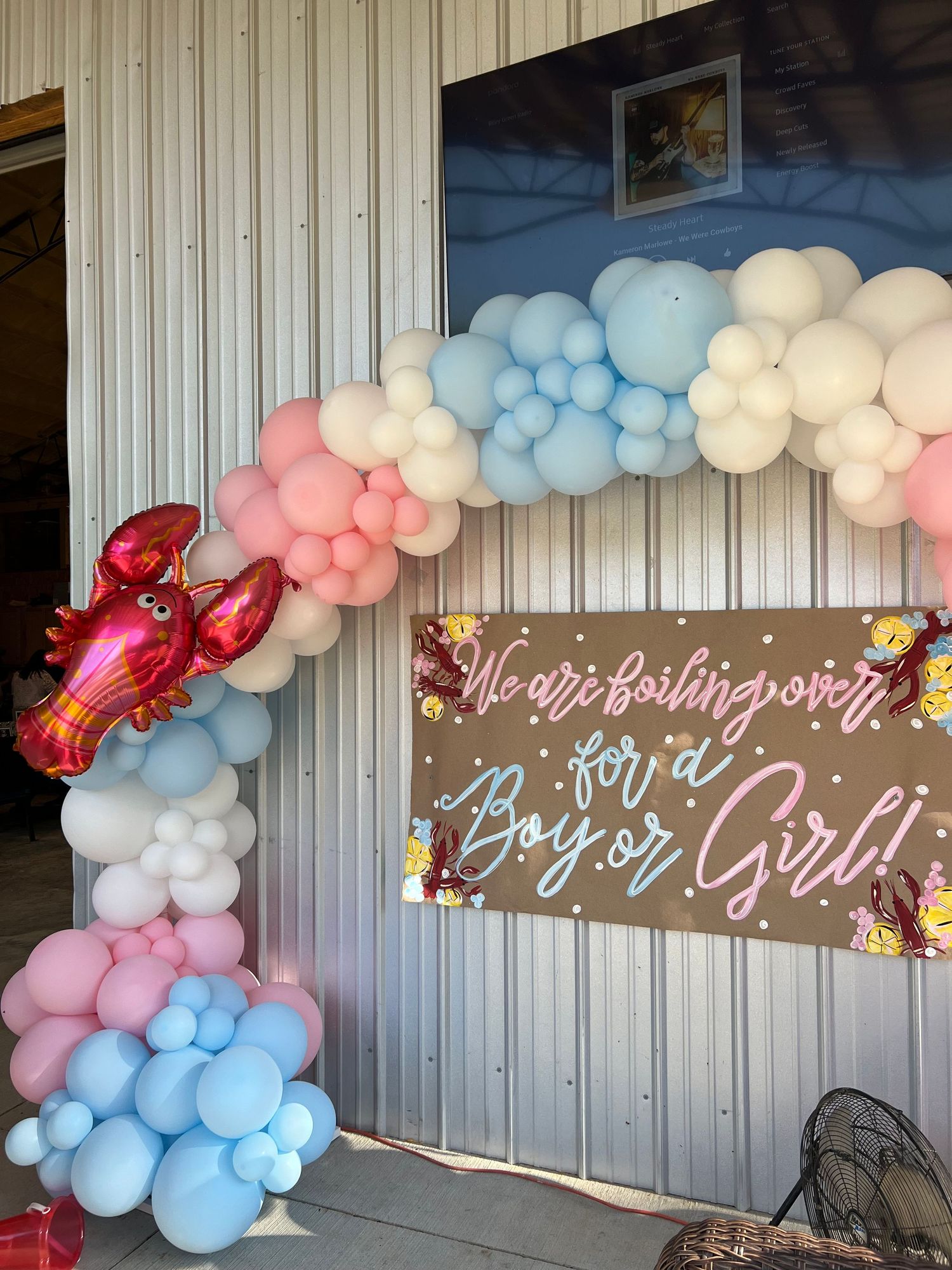 baby shower / gender reveal content creation detail shot of decor