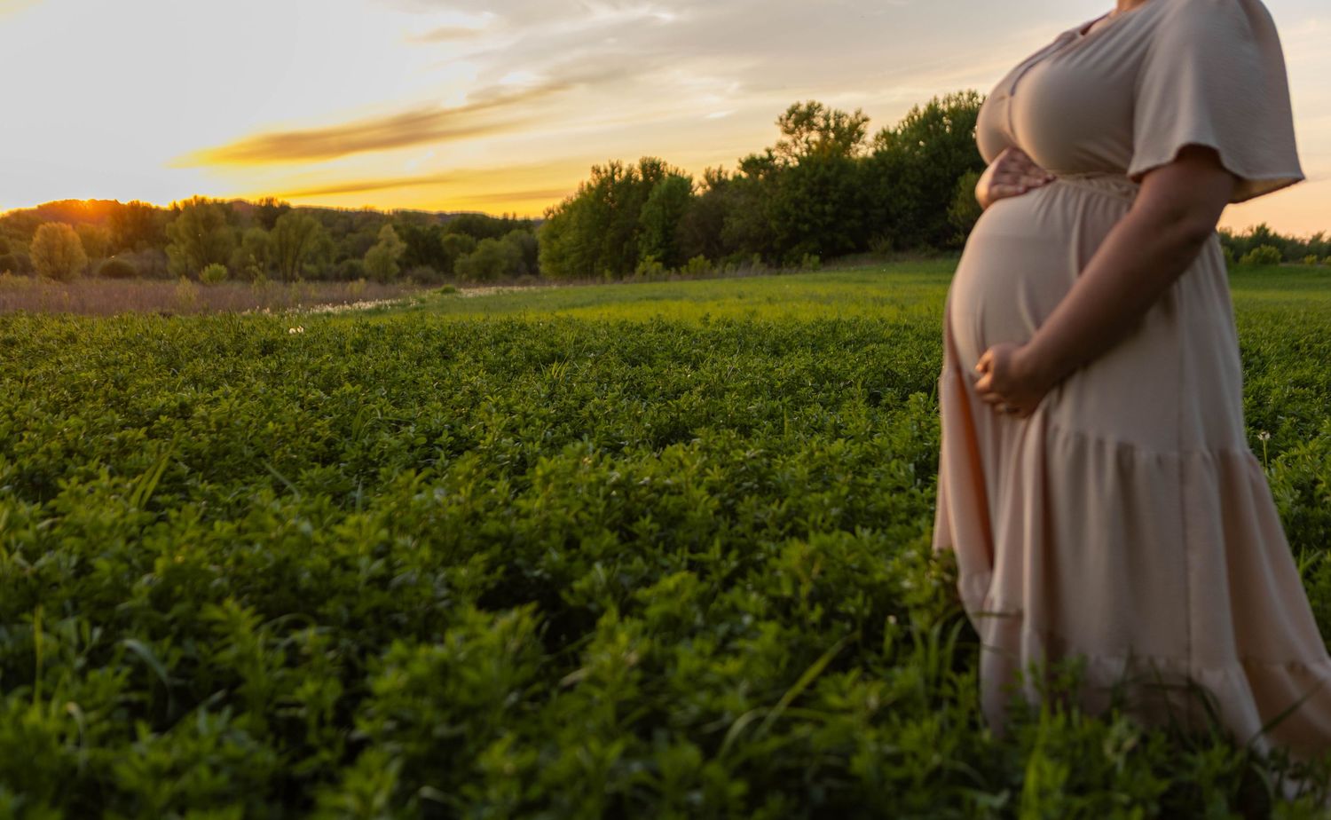 Sunset over green fields with golden light illuminating the landscape. Mauston photographer.