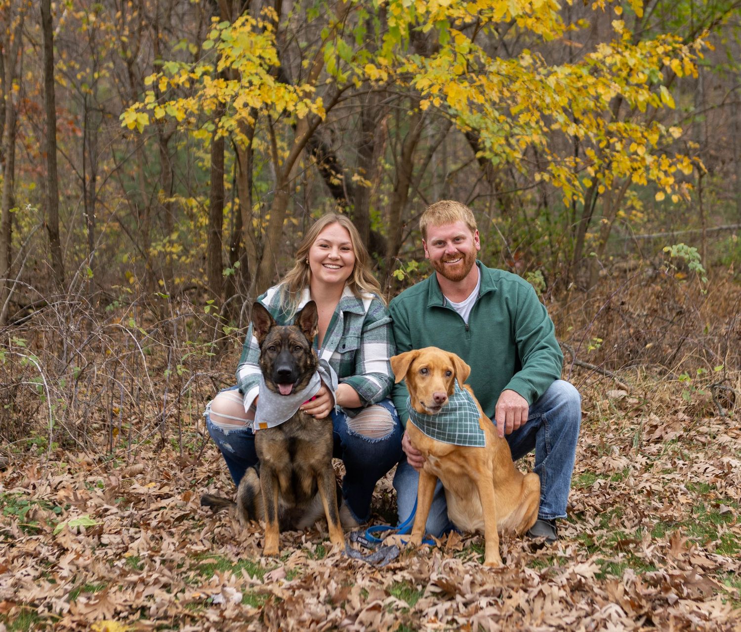 Family poses outdoors with their two dogs in a wooded fall setting with golden leaves. Mauston photographer.