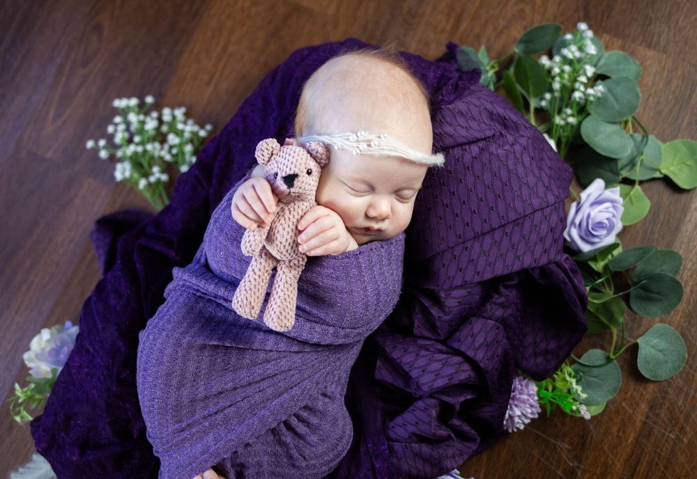 Newborn portrait with purple blanket and decorative white flowers. Mauston photographer.