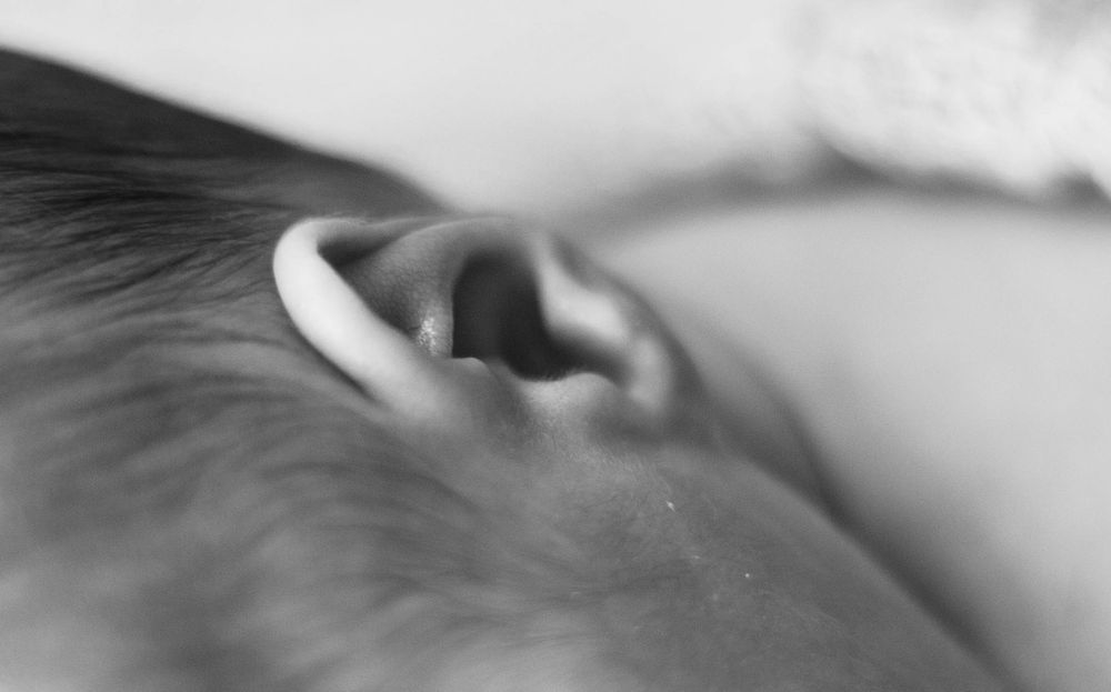 Abstract black and white macro photography with soft focus and bokeh effects. Mauston photographer.