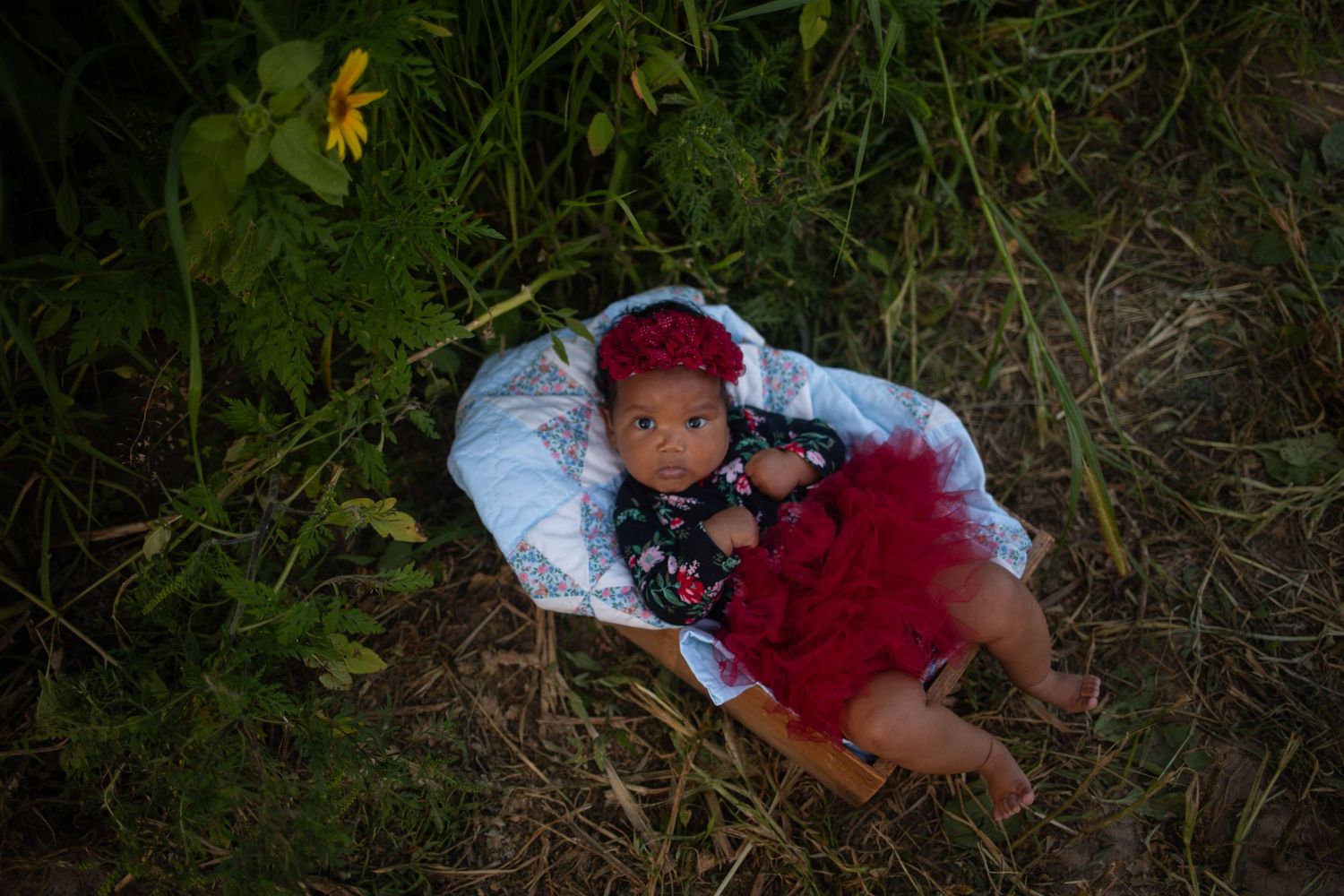 Collection of baby dolls arranged on grass and natural settings. Mauston photographer.