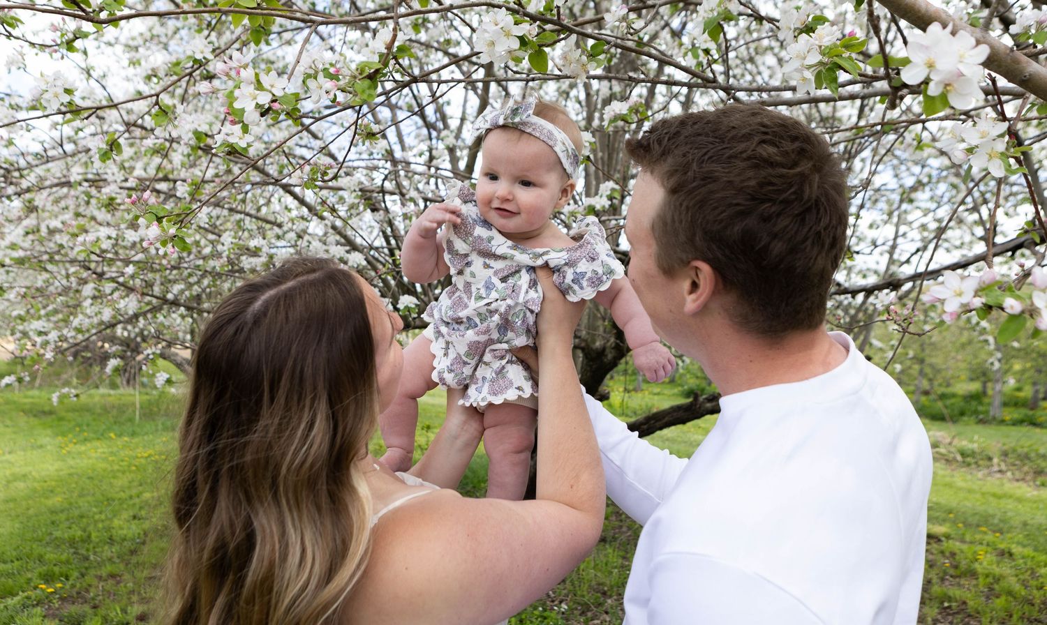 A couple holds their baby girl up under blooming white cherry blossom trees in a lush green park.