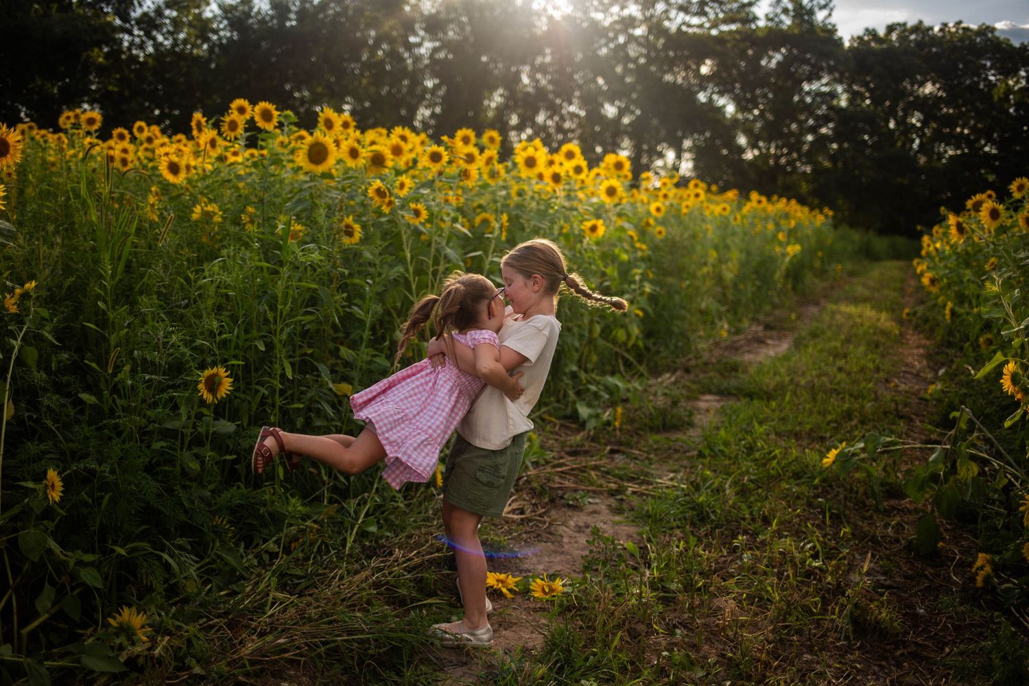 Candid family moments captured in a blooming sunflower field at sunset. Mauston photographer.
