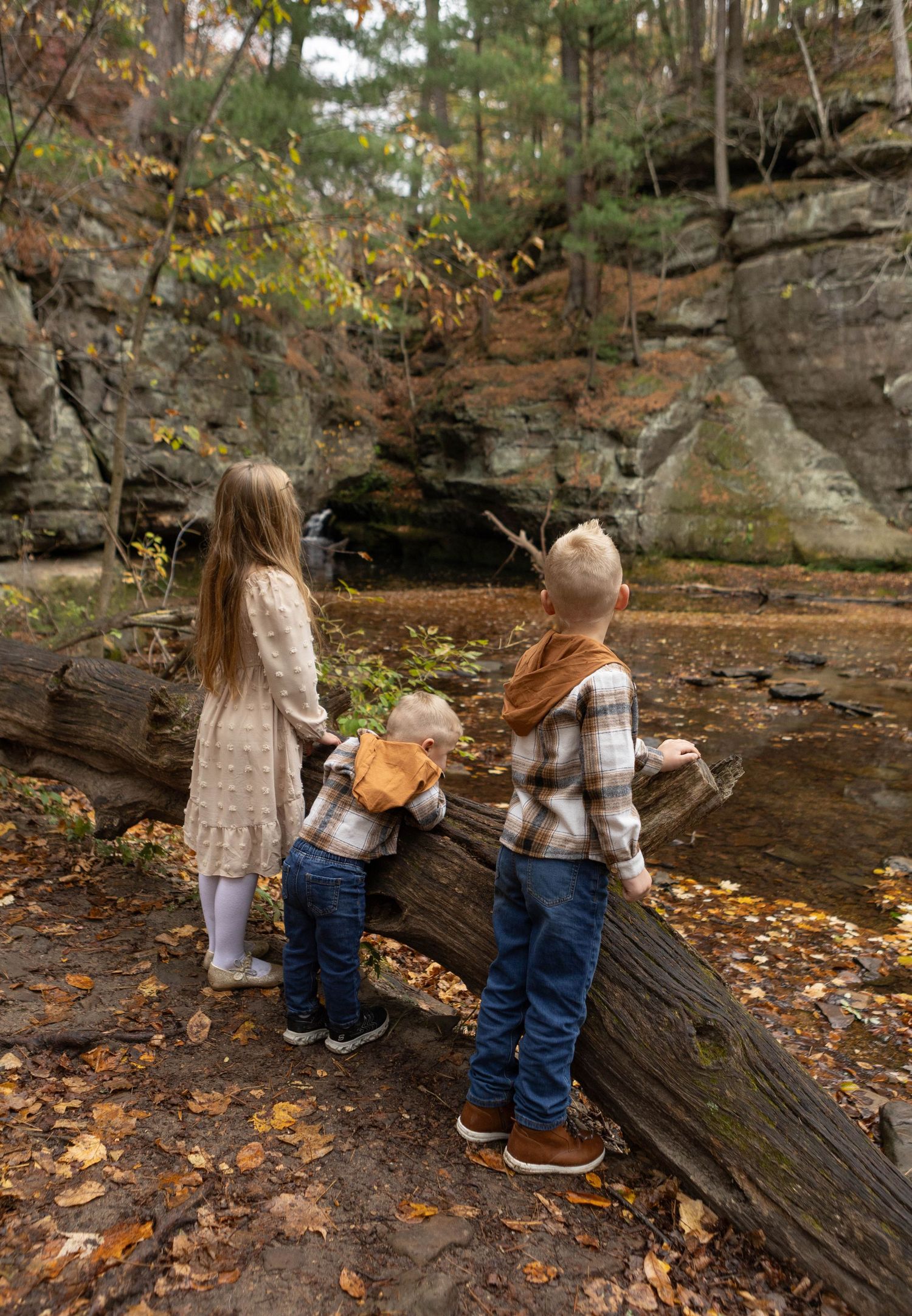 Three small children explore fallen logs in an autumn forest setting. Mauston photographer.