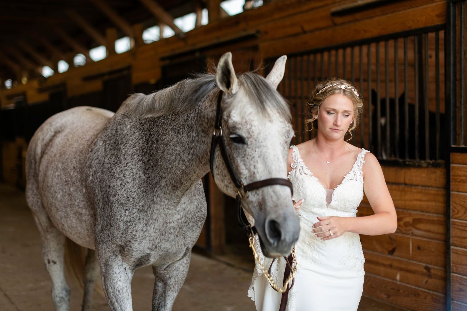 Bride in white lace gown stands beside a dapple grey horse inside a rustic wooden stable.