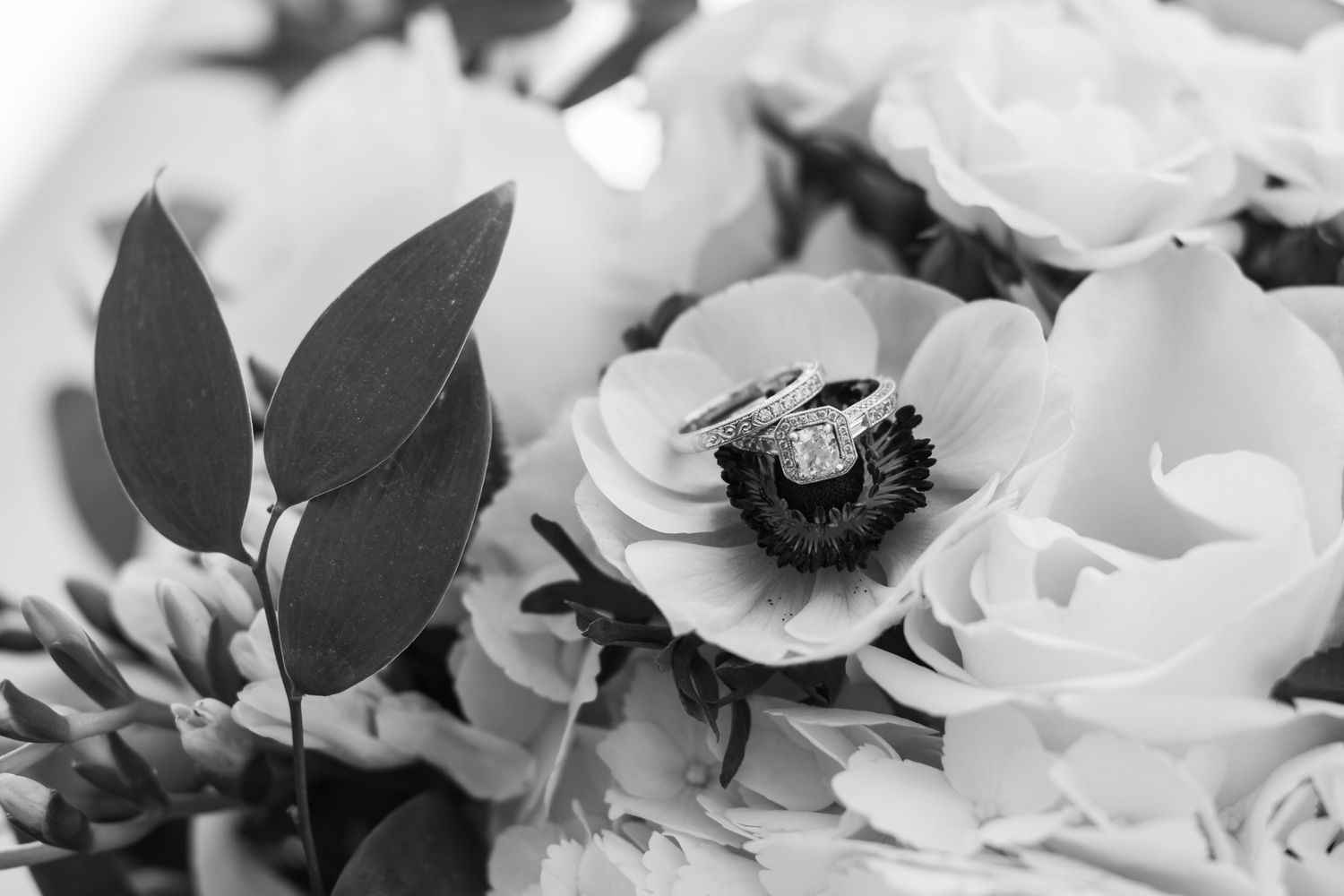 Black and white close-up of wedding rings nestled in a white anemone bridal bouquet.