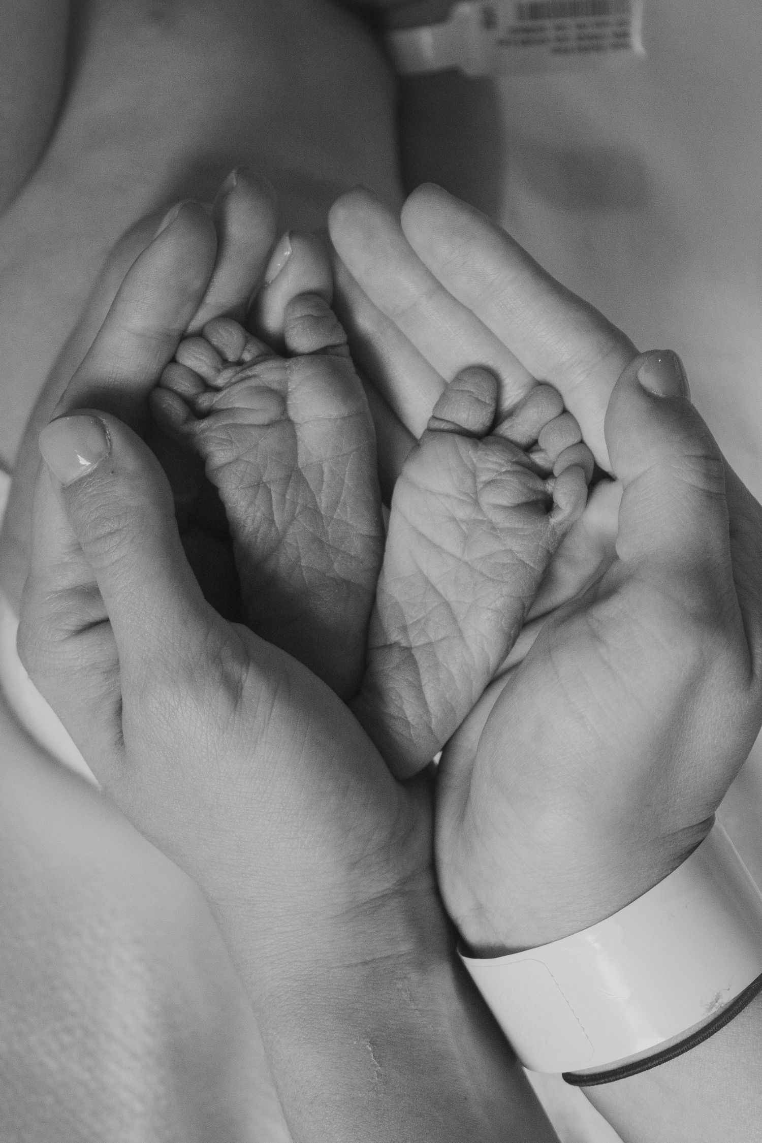 Copperas Cove Fresh 48 Photographer capturing newborn baby feet in mother's hands.