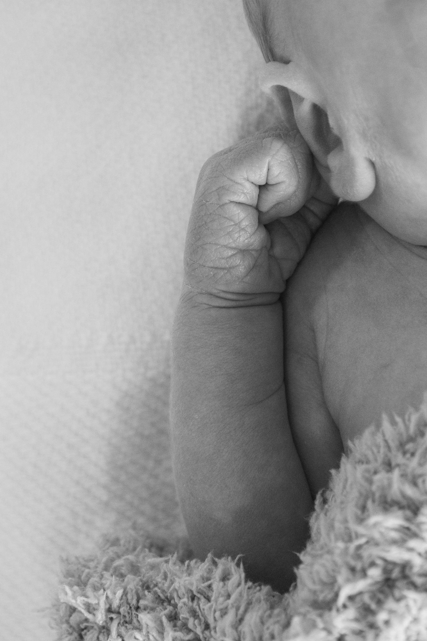 Copperas Cove Fresh 48 Photographer capturing newborn baby hands.