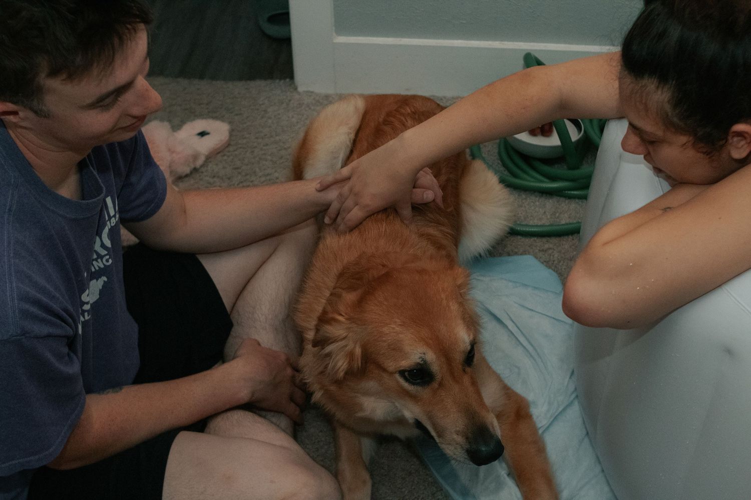 Fort Hood Birth Photographer captures dog supporting mom in labor.