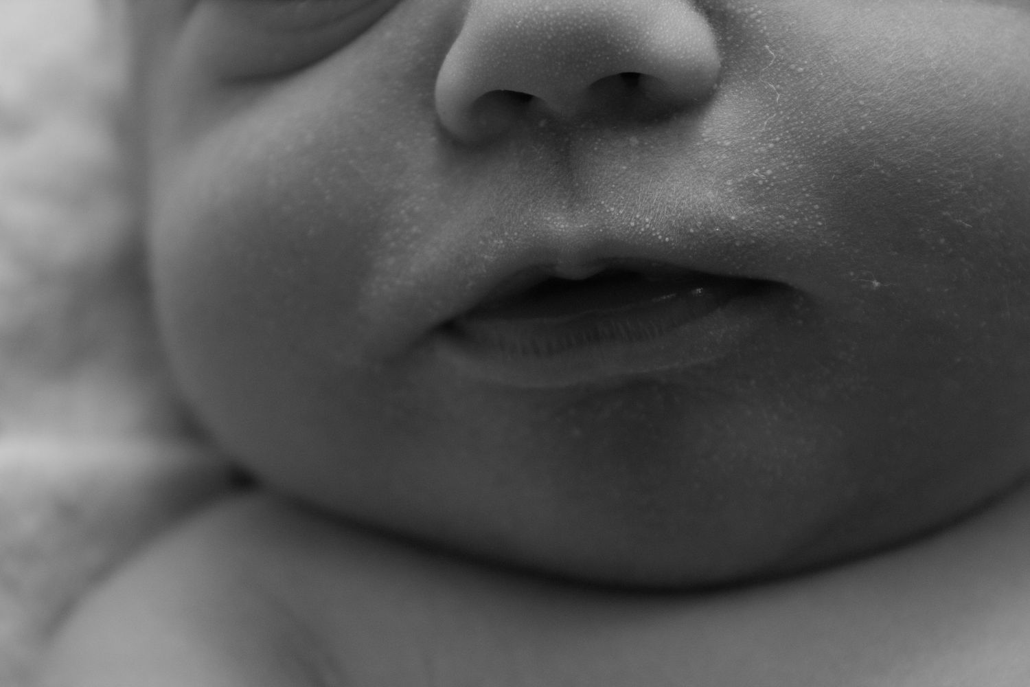 Fresh 48 Photographer capturing newborn baby lips and nose.