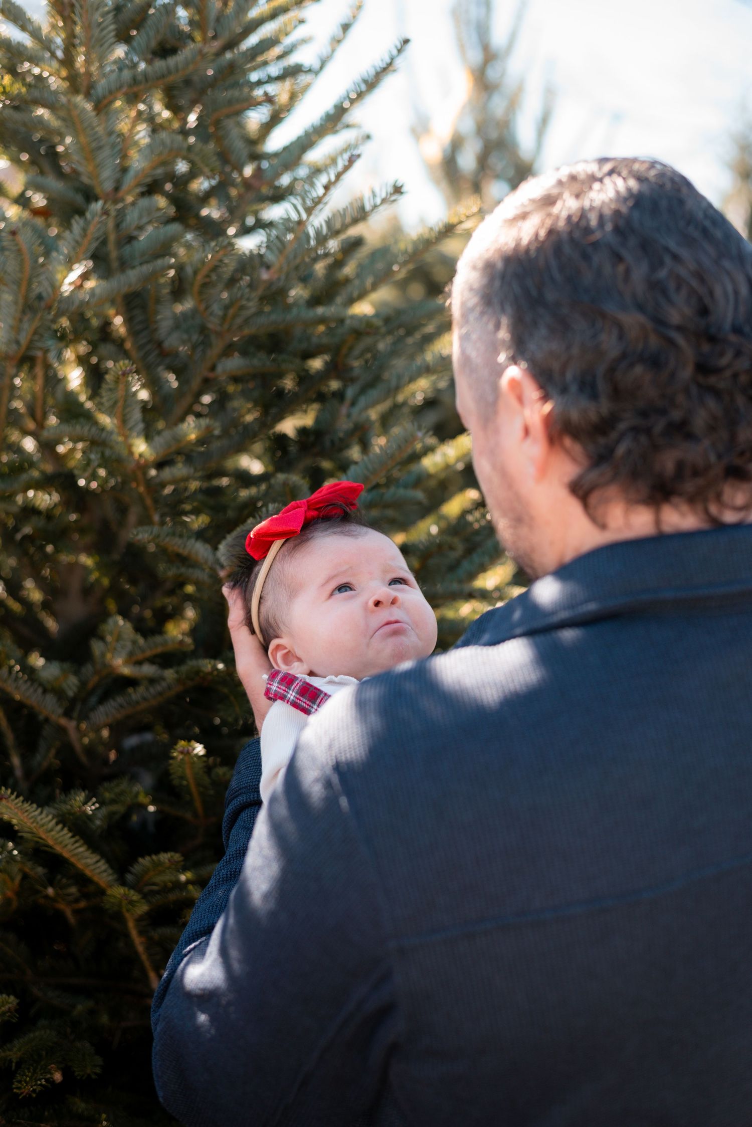 Series of outdoor shots with parent holding baby against evergreen tree backdrop.