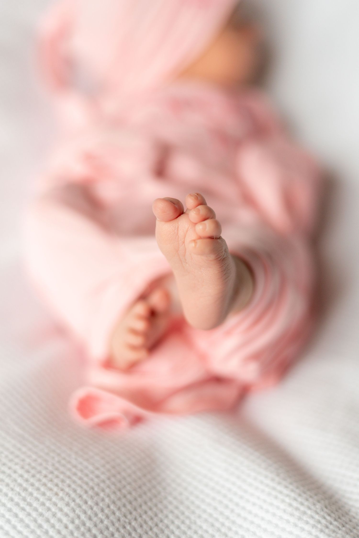 Close-up view of tiny newborn baby feet against soft pink blanket in natural light.