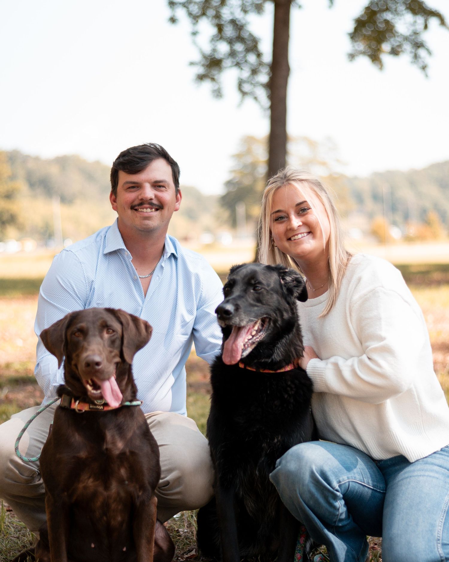 A couple poses with their two happy Labrador retrievers for outdoor family photos.