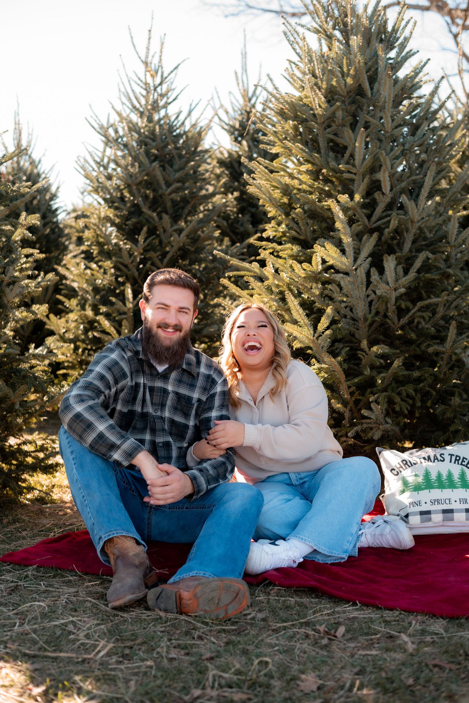 Couple relaxing on red blanket among Christmas trees during outdoor photoshoot.