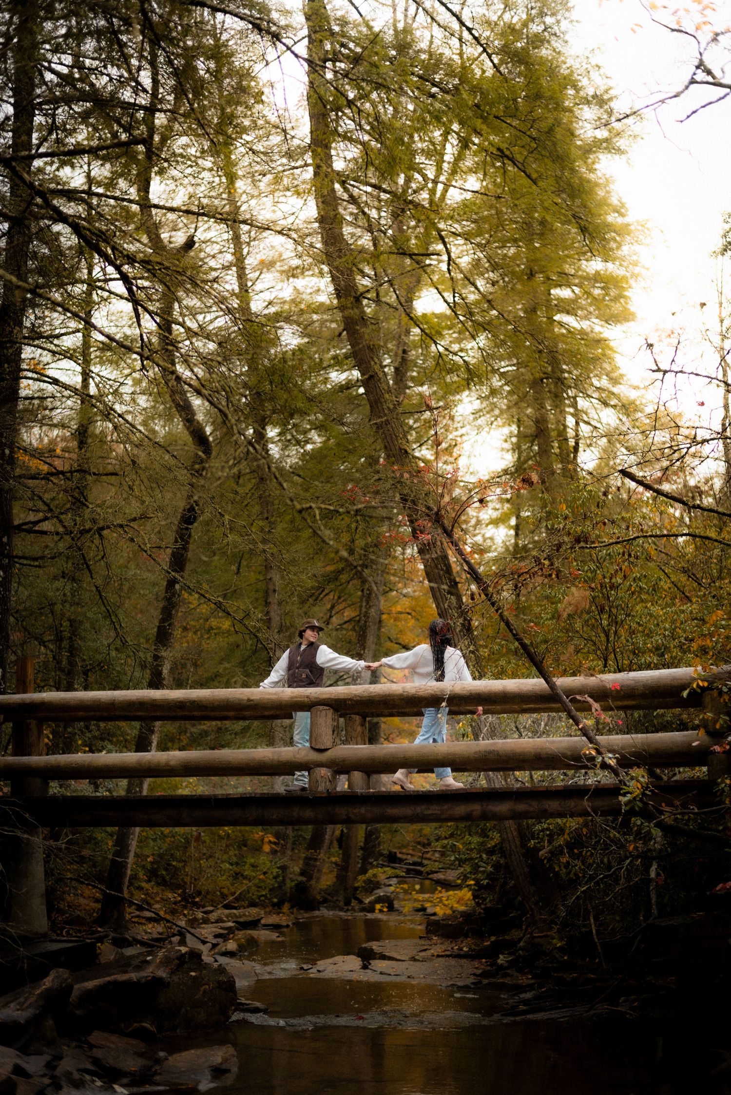 Rustic wooden bridge in misty forest during golden hour.