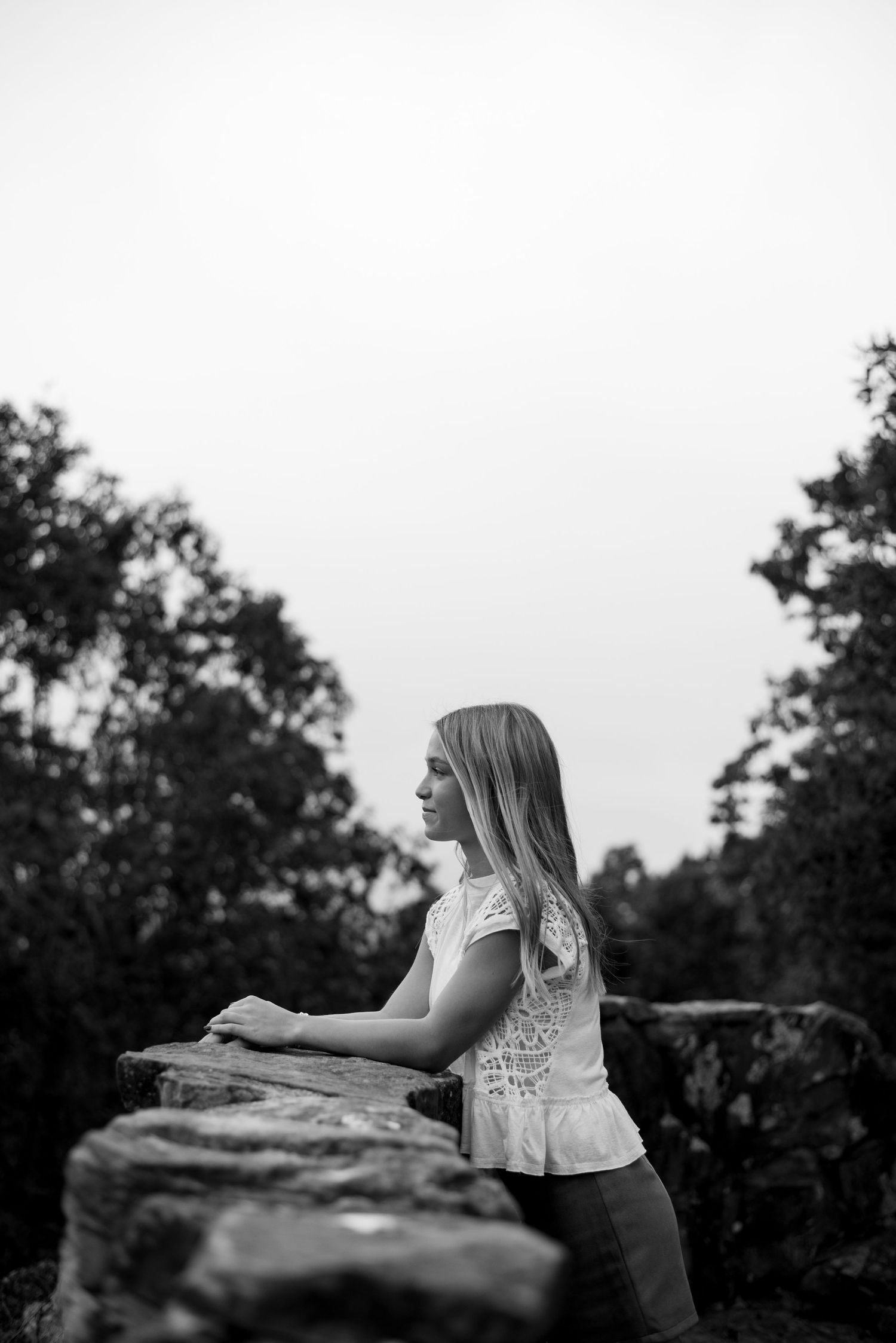 A silhouetted figure leans on a stone wall overlooking a scenic mountain vista.