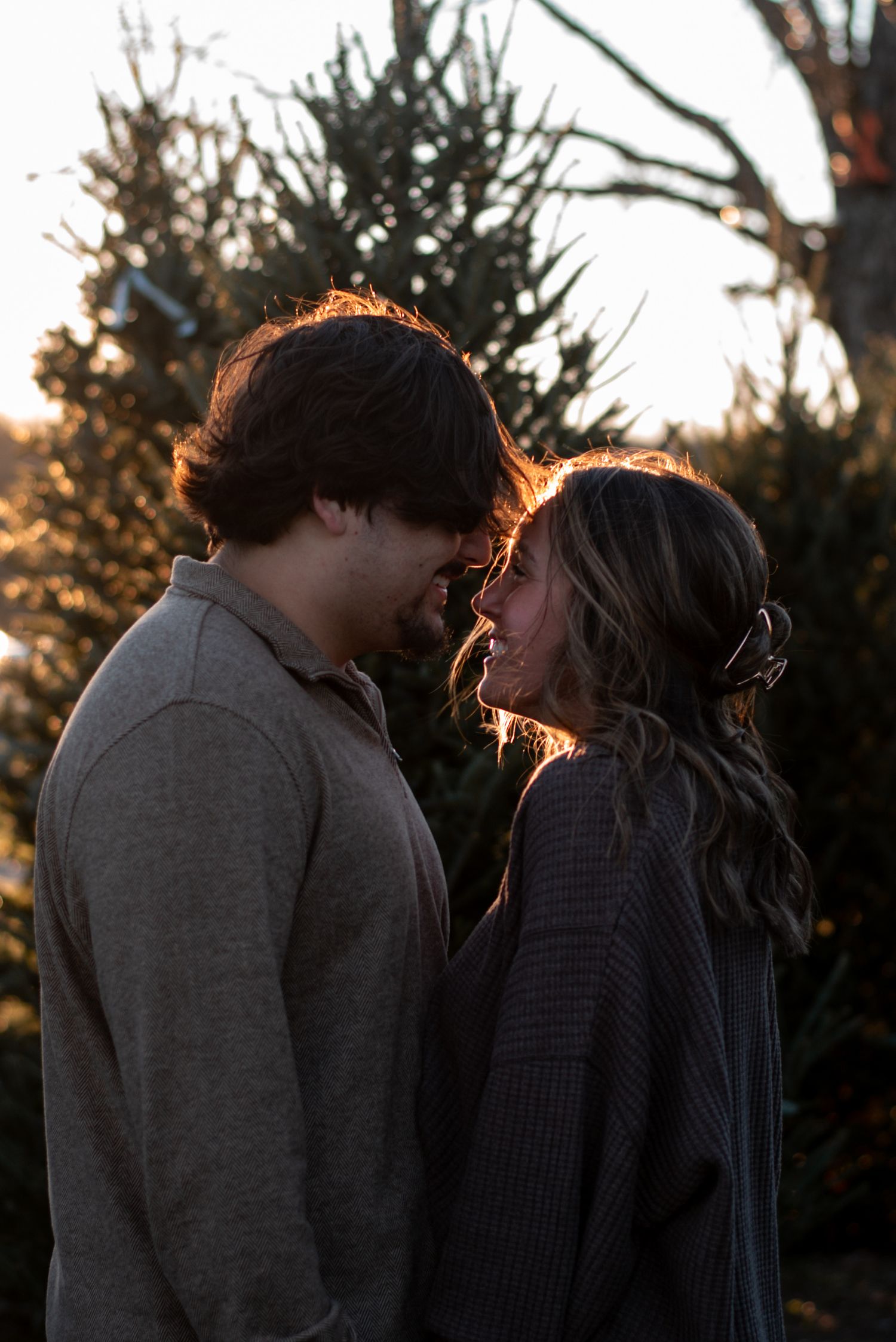 Silhouetted couple sharing tender moments at golden hour among pine trees.