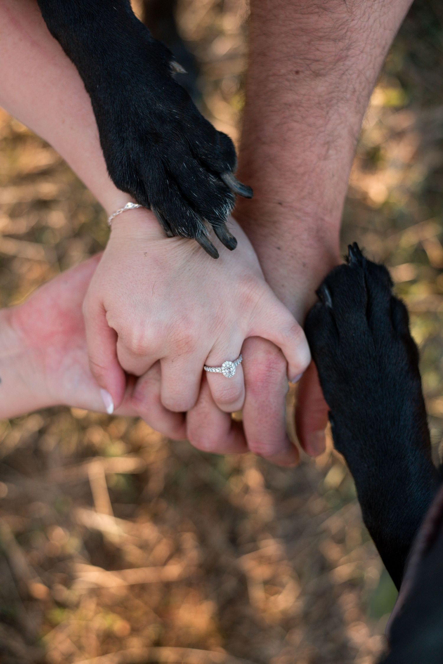 Close-up of intertwined hands against autumn ground during engagement session.