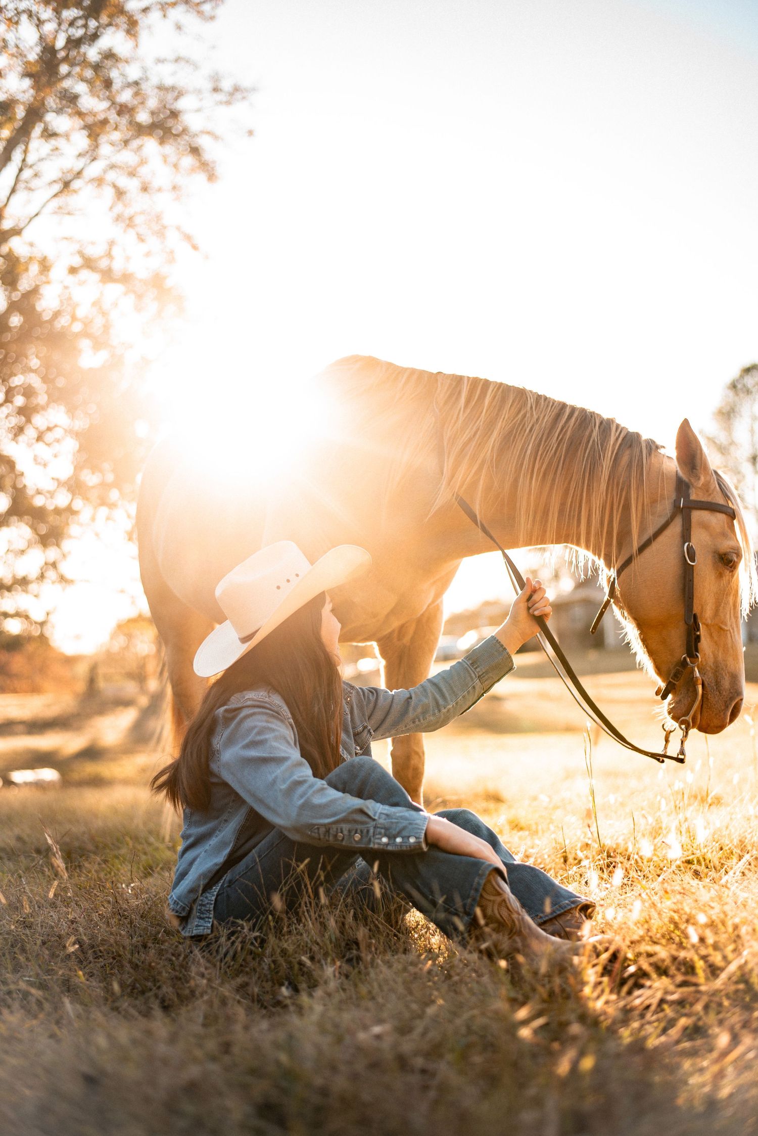Horse and rider resting in golden sunlit field during sunset.