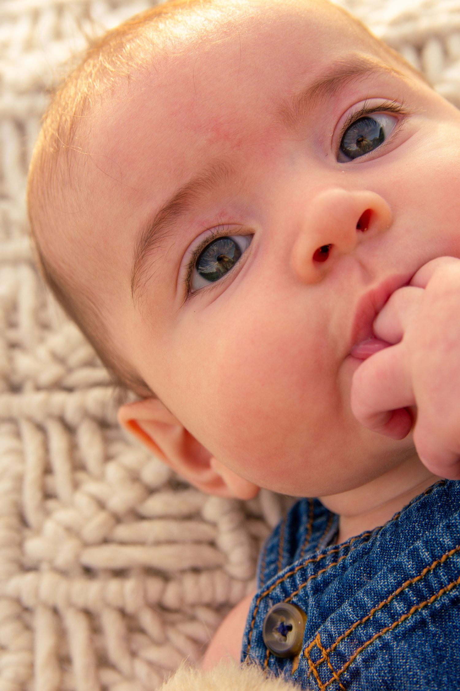 Close-up portrait of baby wearing denim against textured background.