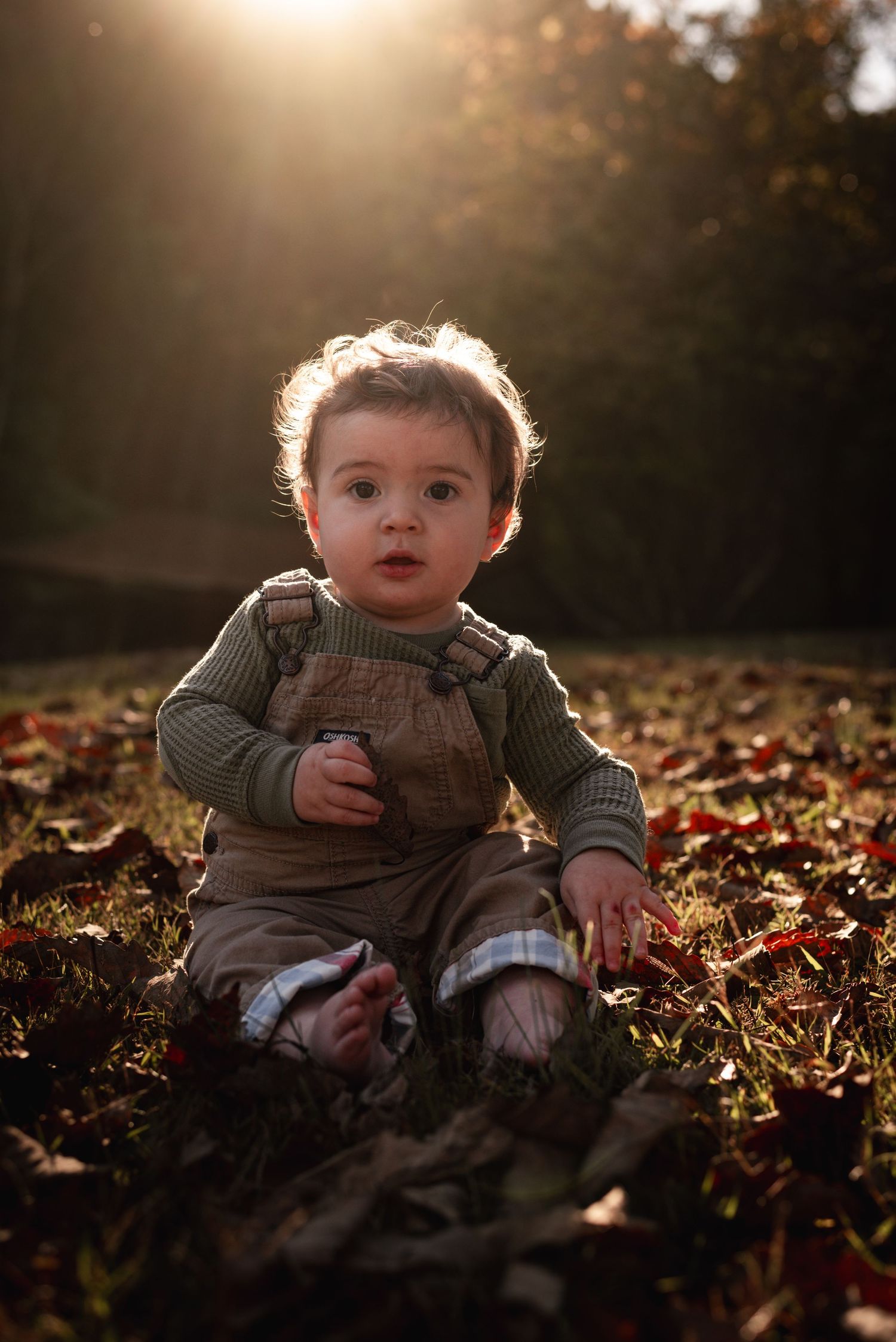 Baby sits among fallen autumn leaves during golden hour sunset.