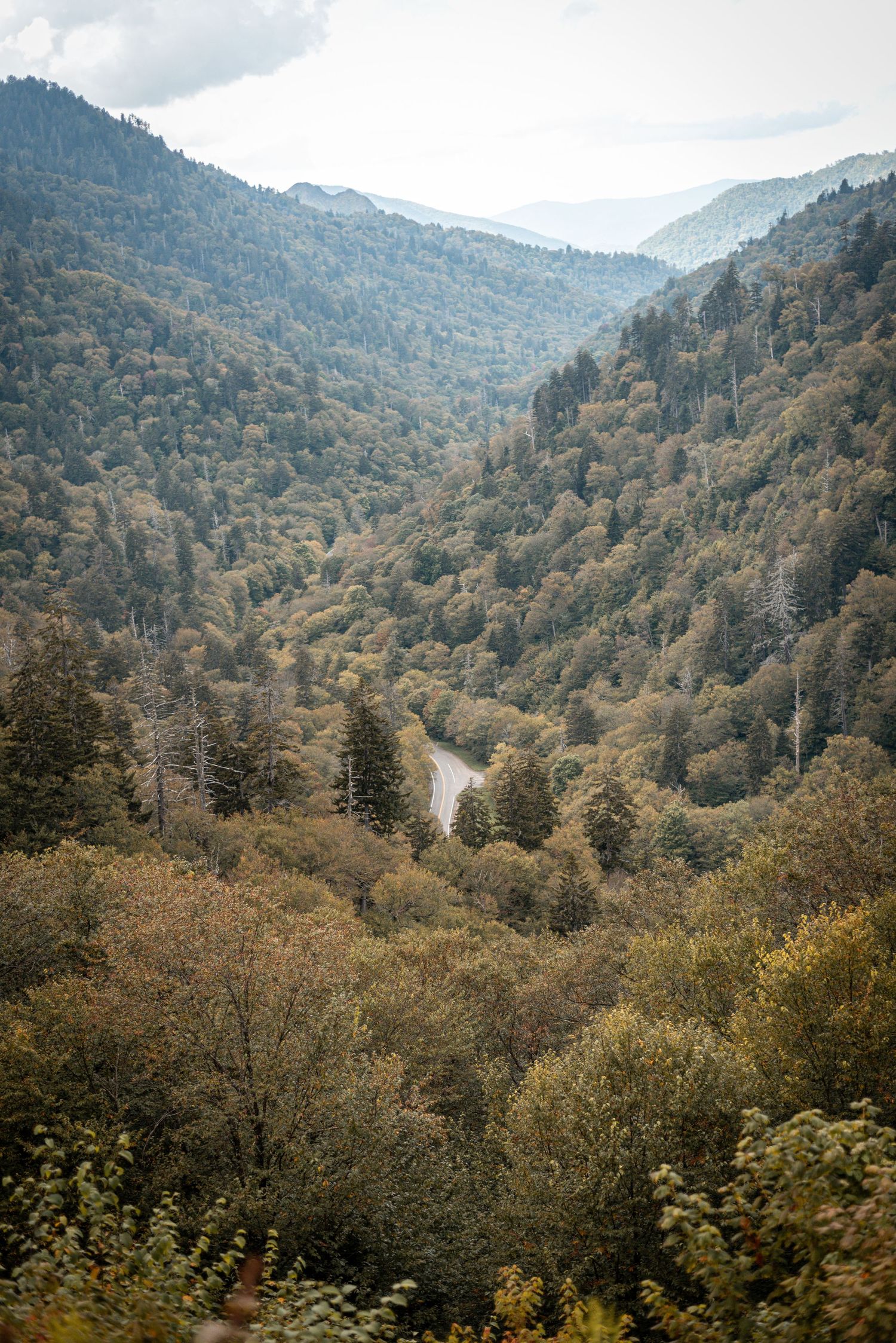 A scenic mountain landscape view of the Great Smoky Mountains with fall foliage.