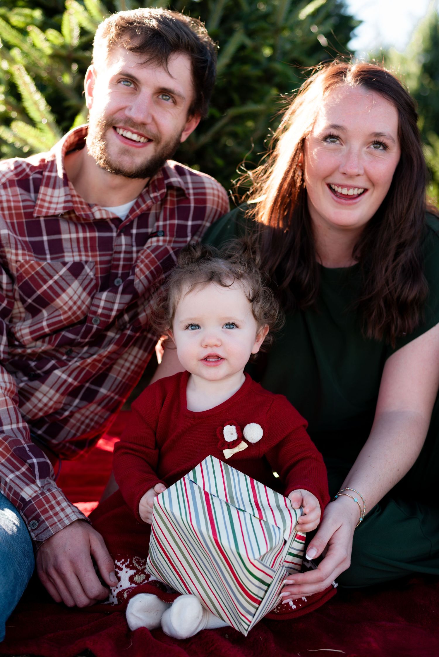 Holiday family photos with baby holding striped present by evergreen trees.