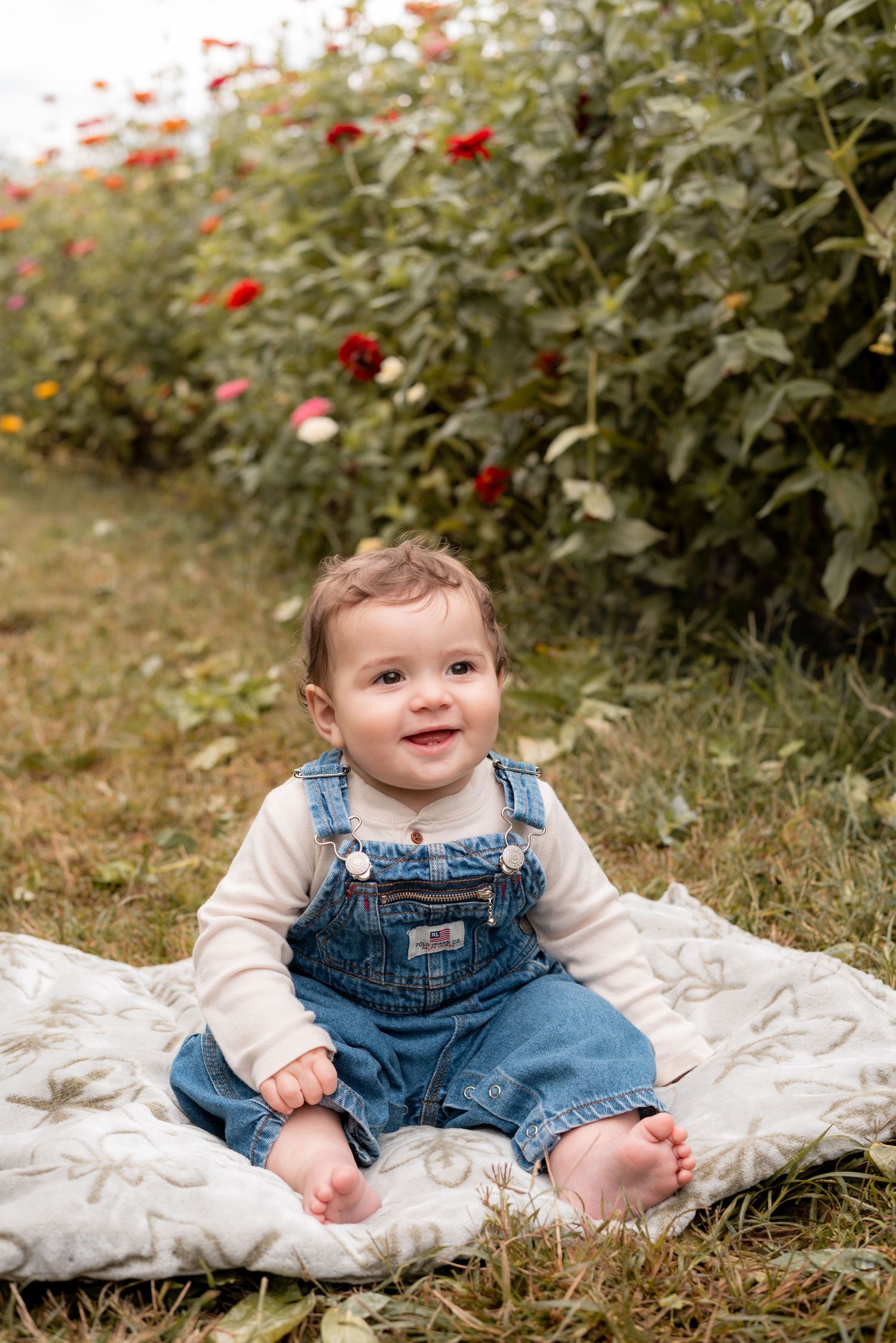 Baby wearing denim overalls sits on white blanket surrounded by red flowers in garden setting.