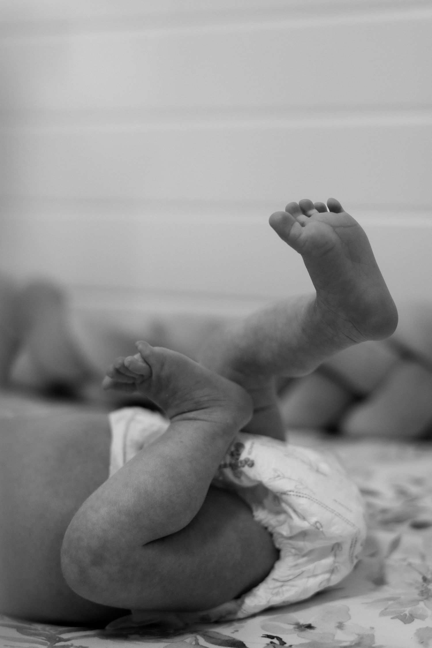 Black and white image of tiny baby feet and legs resting on soft bedding.