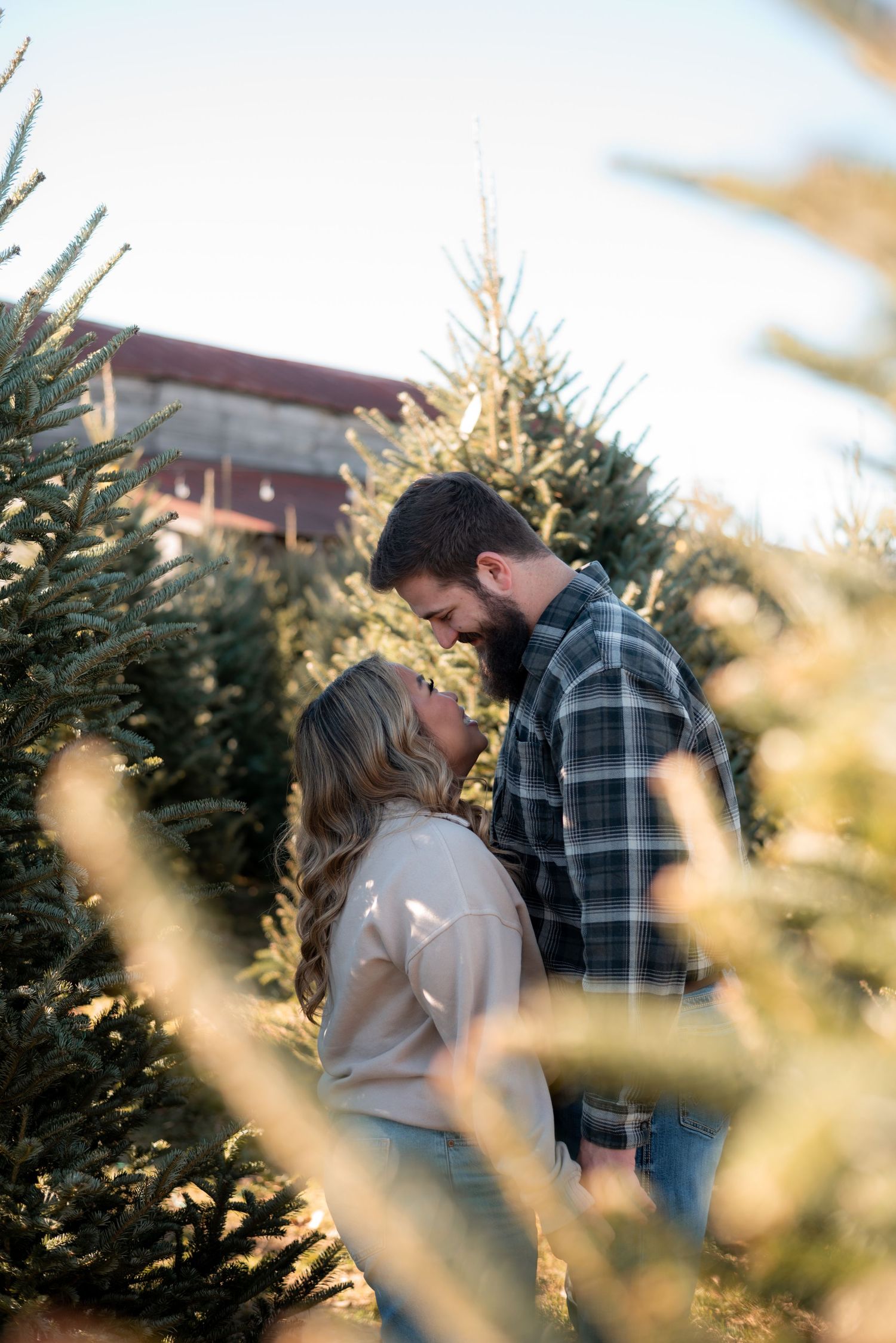 A romantic couple shares tender moments between evergreen trees at sunset.