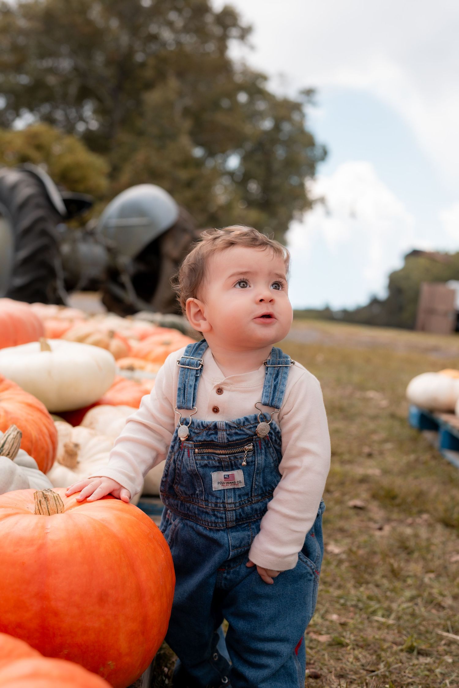Baby in overalls explores pumpkin patch during autumn season.