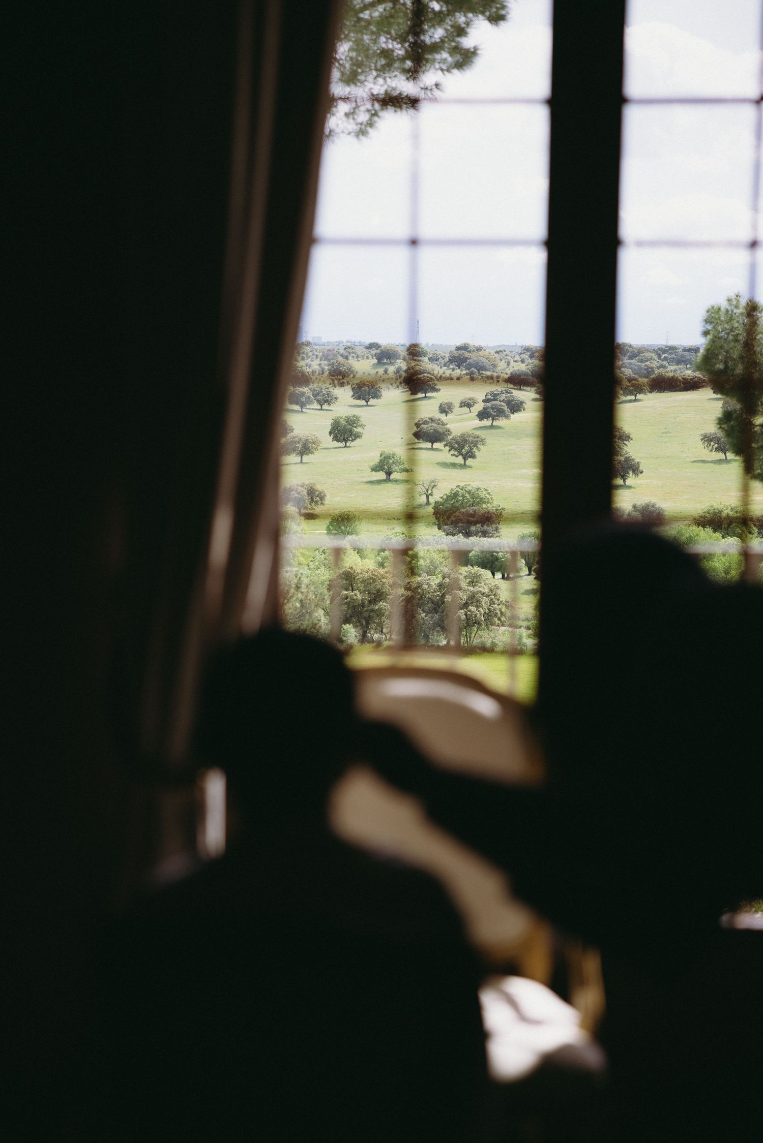 Fotógrafo de bodas en Madrid