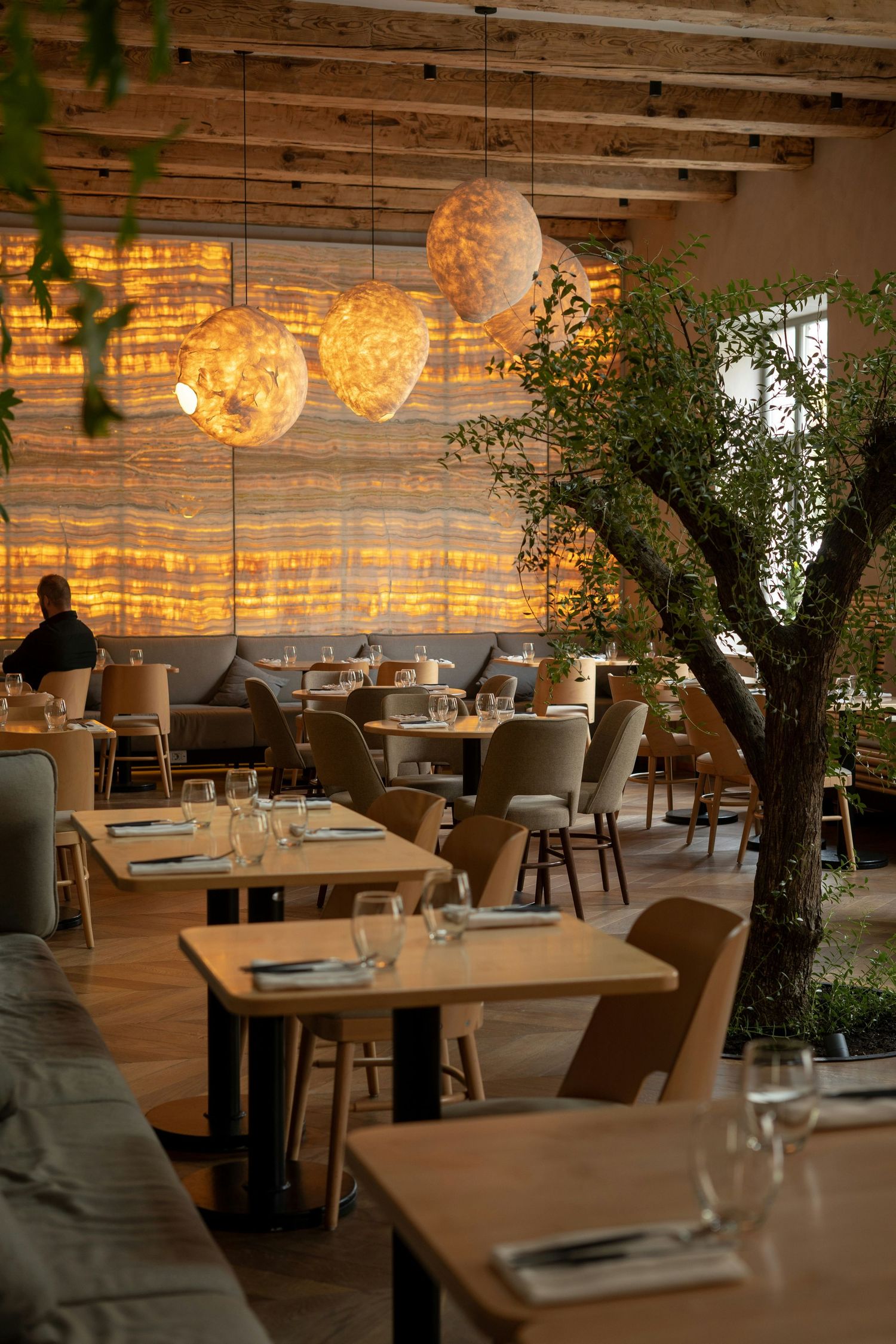 Elegant restaurant interior with wooden beams, glowing pendant lights, and a live olive tree.