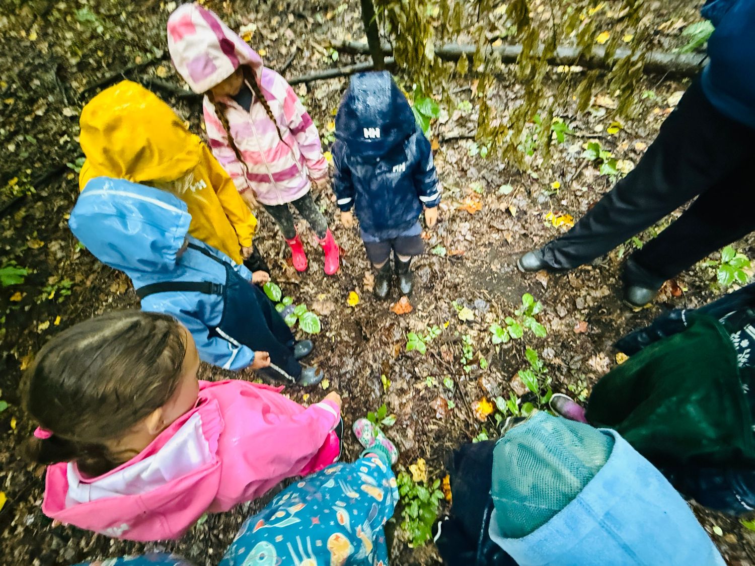 Children in colorful raincoats gather in a circle exploring the forest floor in autumn.