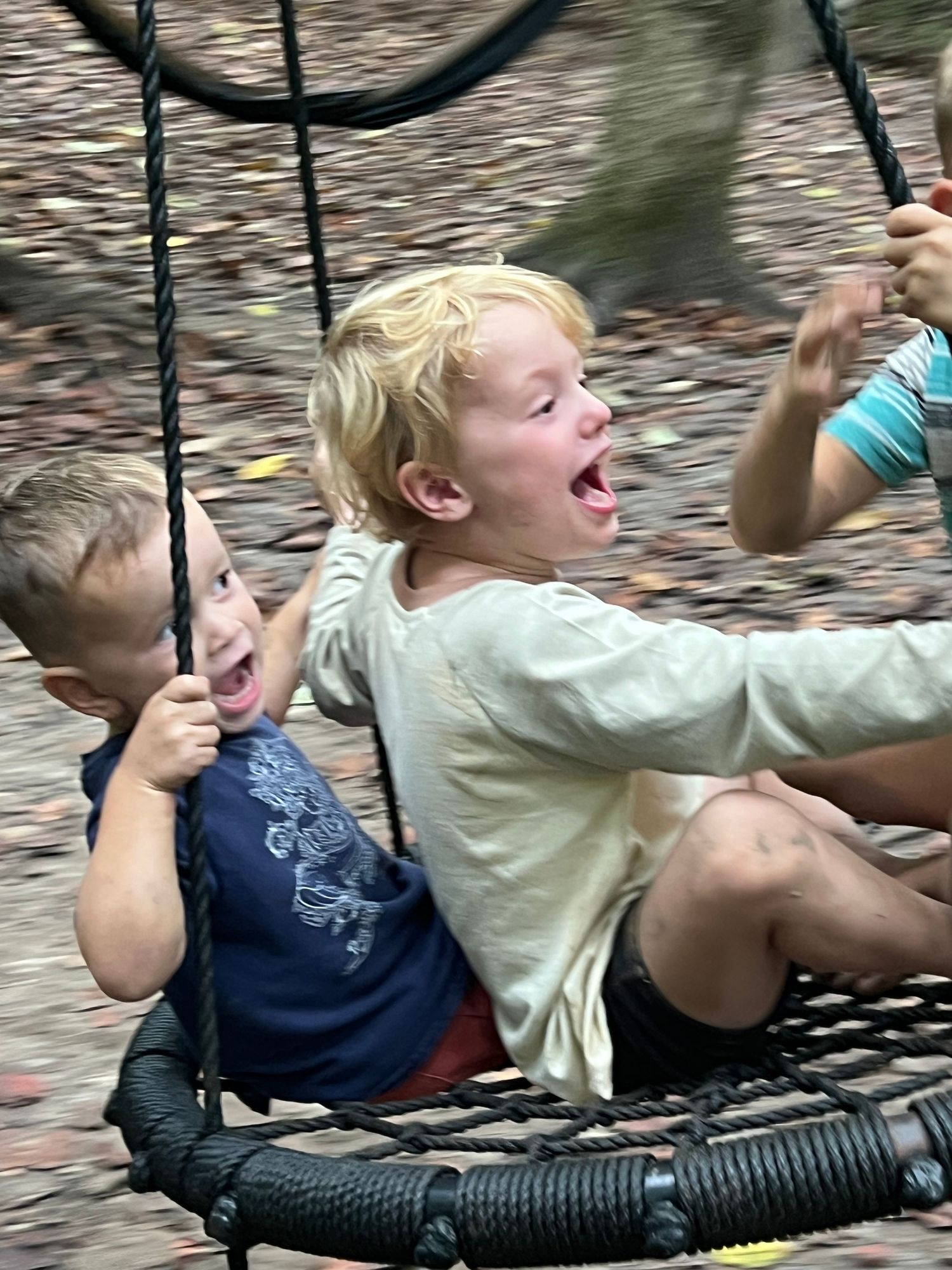 Two laughing children riding rope net swing together in outdoor woodland playground.
