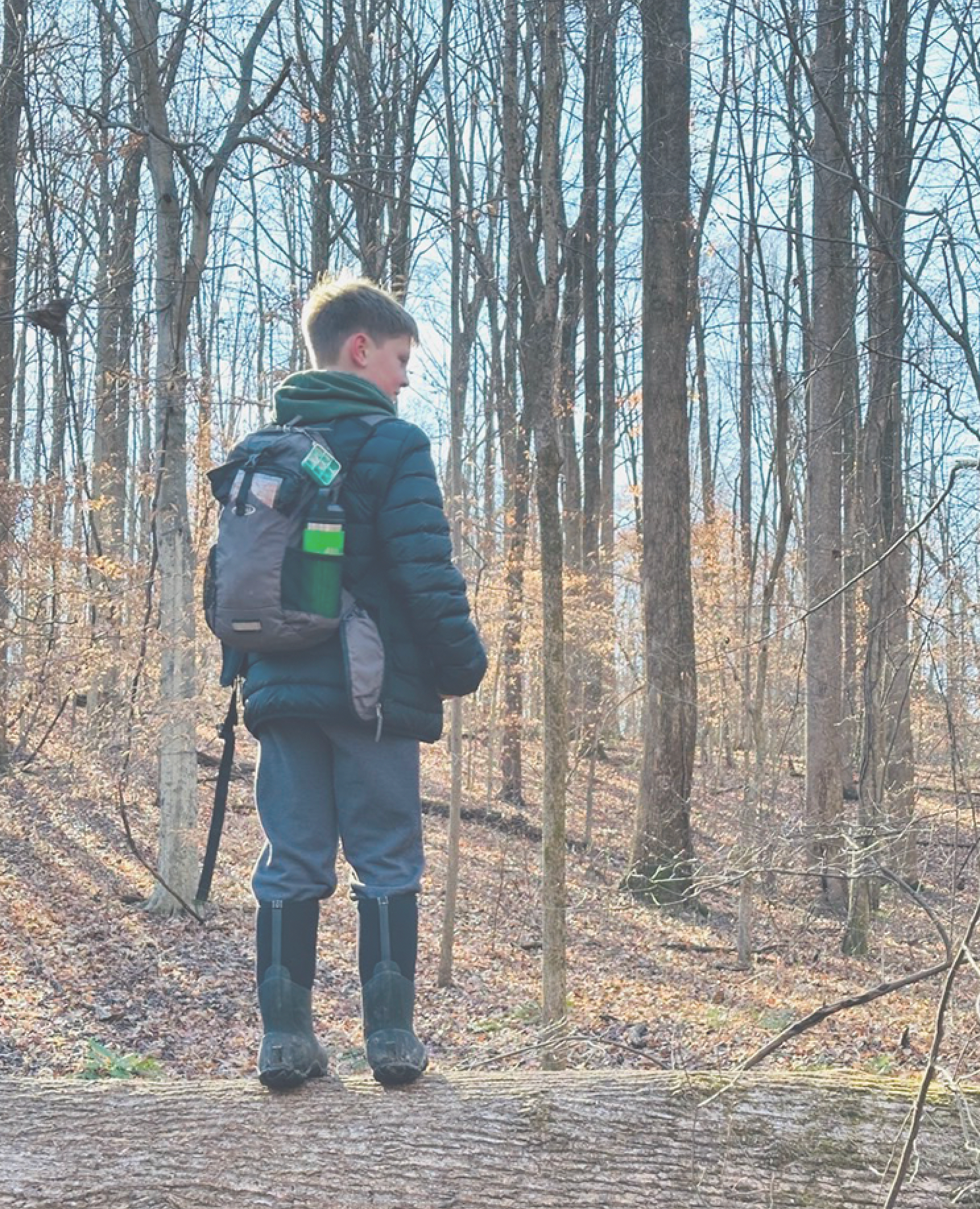 A young boy with a backpack stands on a log in a bare winter forest, gazing into the trees.