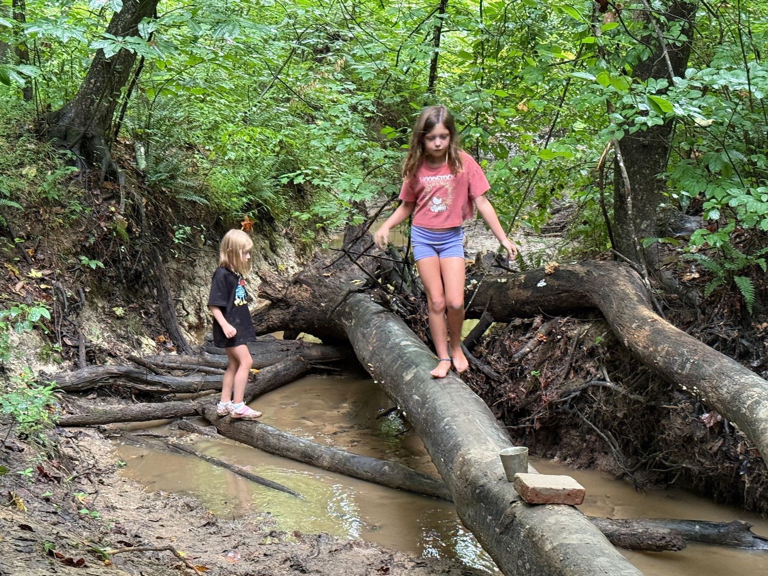 Two children balance on fallen logs over a muddy creek in a lush forest setting.