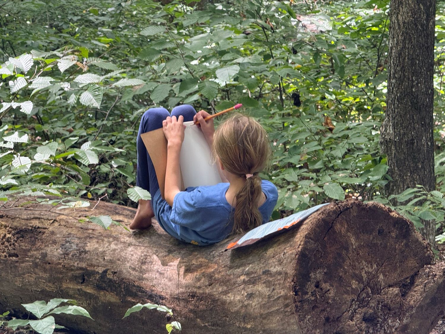 Girl lying on a fallen log reading a book surrounded by lush green forest foliage.
