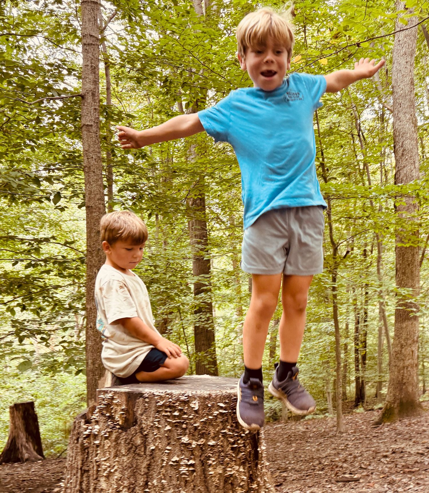 Boy in blue shirt jumping off a tree stump in a sunlit forest while another child watches.