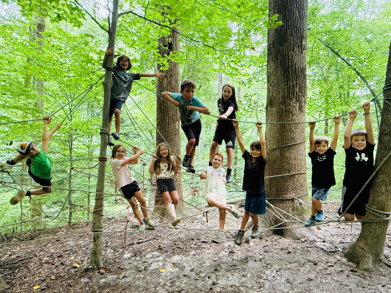 Group of children climbing and balancing on rope structures between trees in a forest.