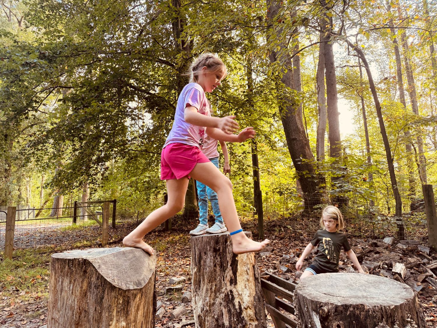 Two children playing and balancing on tree stumps in a sunlit forest outdoor classroom setting.