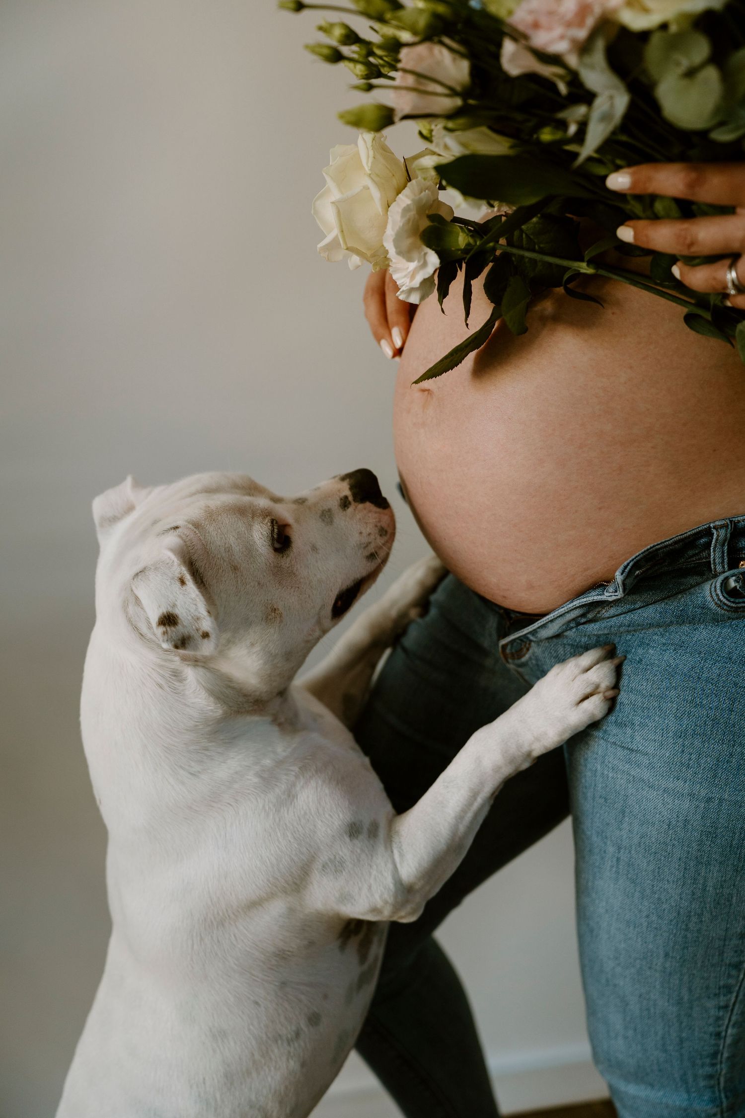 meilleure photographe famille bébé nouveau-né  hem nord de la france lille aurelie dufosse