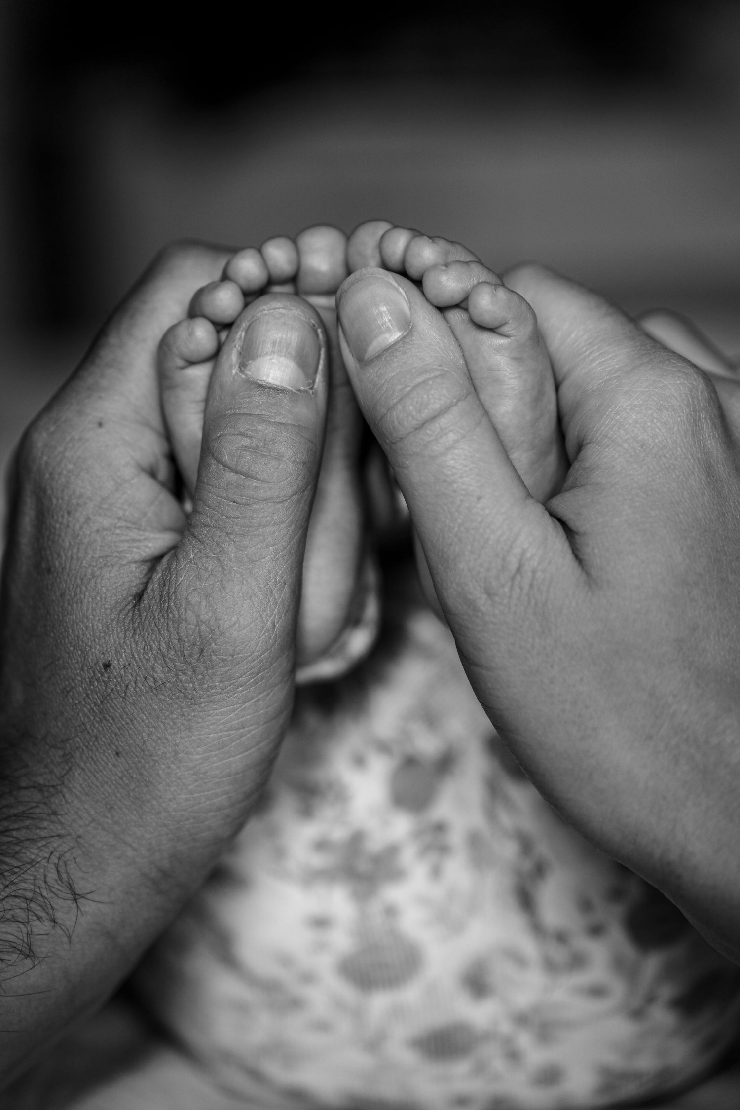 meilleure photographe famille bébé nouveau-né  hem nord de la france lille aurelie dufosse