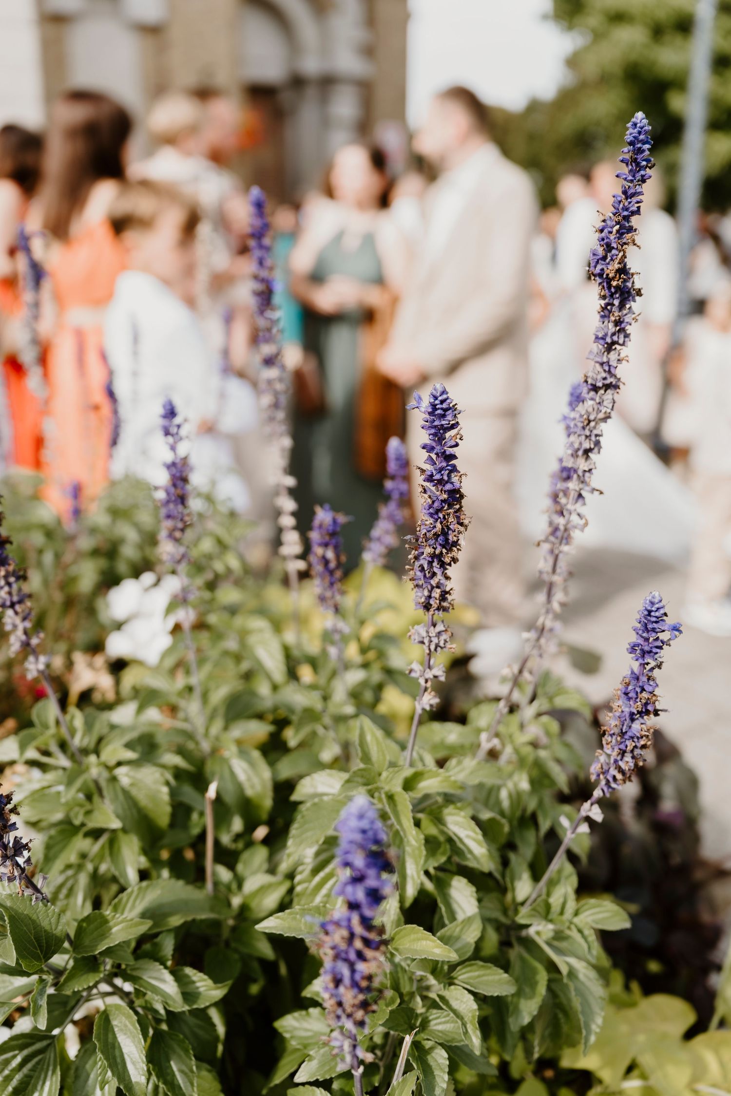 photographe mariage hem nord de la france lille aurelie dufosse photographe