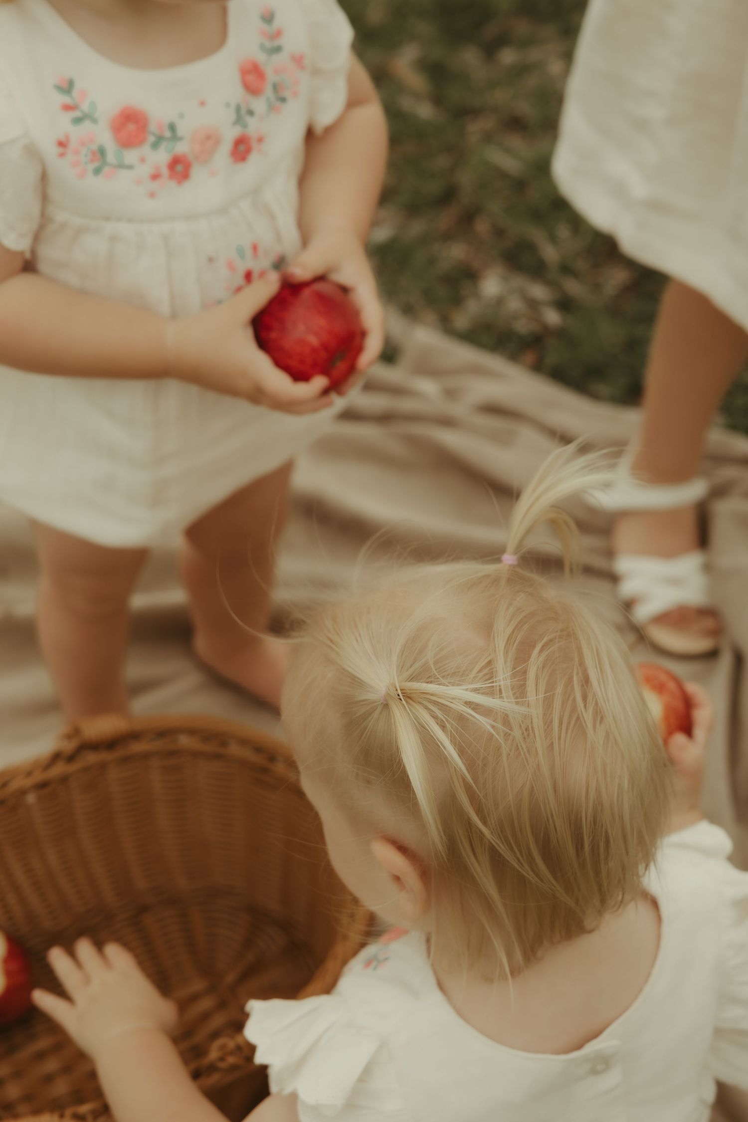 Picnic-style children’s moment
Children sharing fruit during a sweet lifestyle family moment outdoors in South East Queensland.