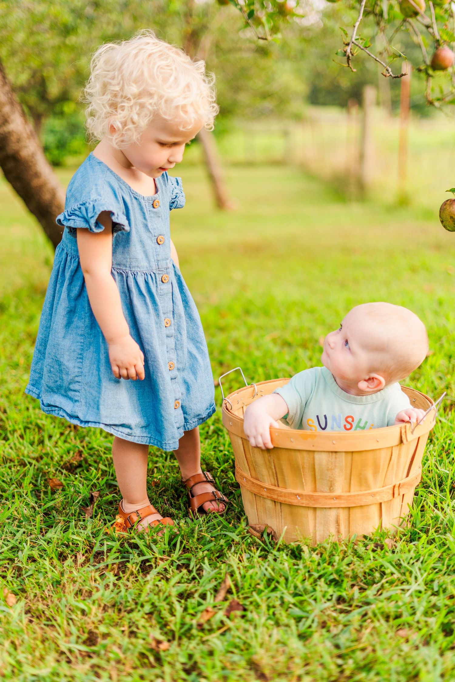 Young children in blue dresses play with wooden baskets in a grassy orchard.