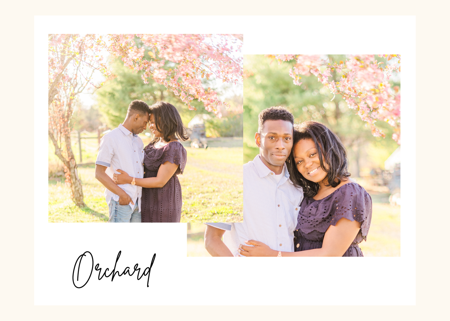 A couple embraces in a sunlit orchard with pink spring blossoms during a romantic outdoor photoshoot.